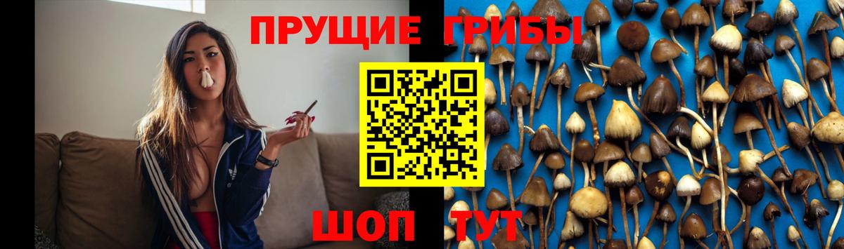 Назарово  Галлюциногенные грибы Magic Shrooms  Вход с VPN 